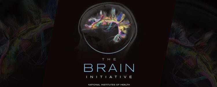 BRAIN Initiative