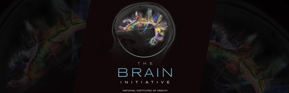 BRAIN Initiative