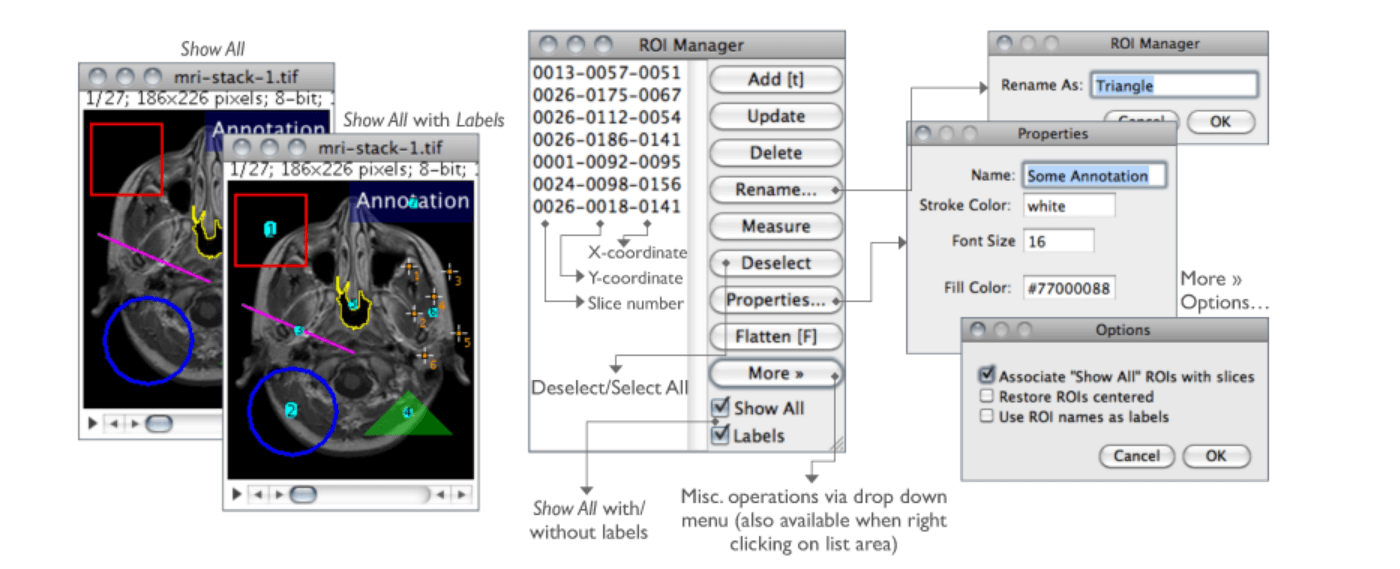 ImageJ