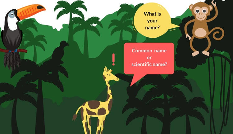 Scientific Names