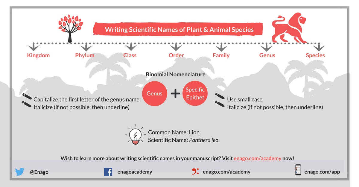  How to Write Scientific Names of Plant and Animal Species in Journal Manuscripts (Part 1)