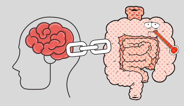 brain-gut connection