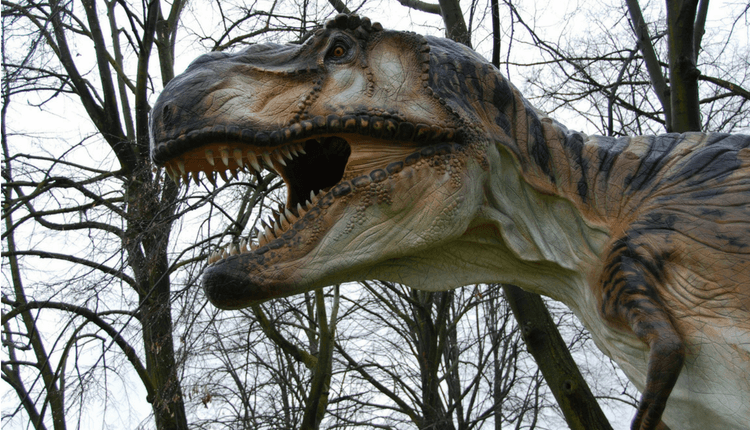 T. Rex Couldn't Stick Out Its Tongue, New Research Shows, Jackson School  of Geosciences