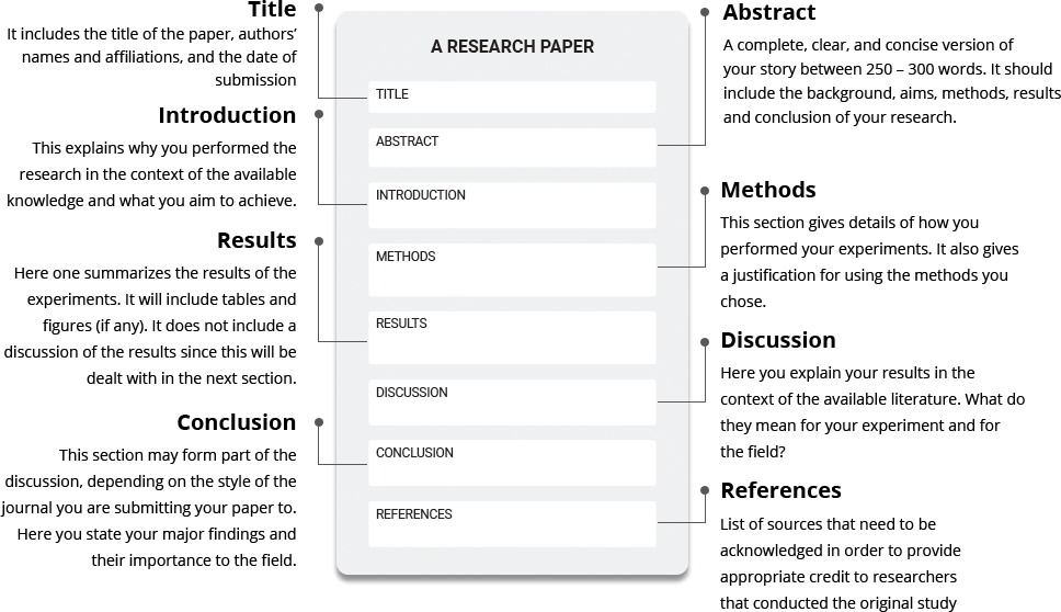 how to do a research paper on an author