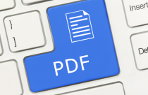 how to write essays on ipad PDF Citation Guide for APA, MLA, AMA and Chicago Style
