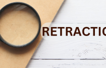 visuals for a presentation 10 Tips to Prevent Research Papers From Being Retracted
