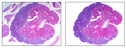 fig4