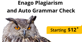 Plagiarism Checker