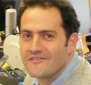 PhD Bioinorganic Chemistry PhD Bioinorganic Chemistry: Bioinorganic Chemistry journal editor, academic editors, copyeditors