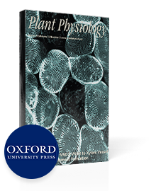 OXFORD Paper