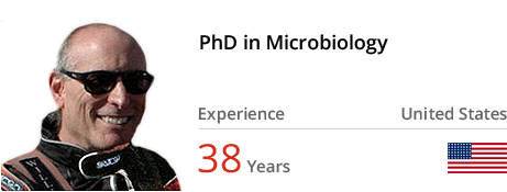 thesis proofreading services thesis proofreading services