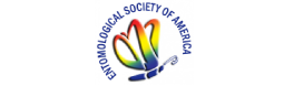 entomological society of america
                                       