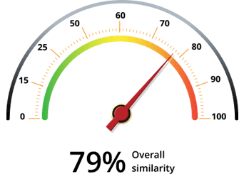 Similarity Detector Speedmeter Icon
