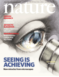 nature journal cell lymphomas - english editing